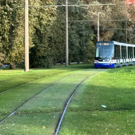 Metropolia Deluxe